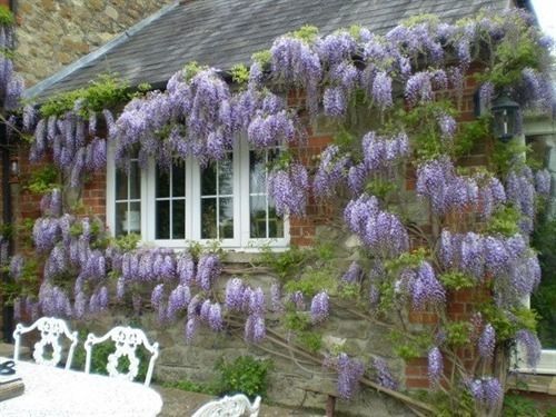 Blounts Court Farm Bed & Breakfast Devizes Exterior photo